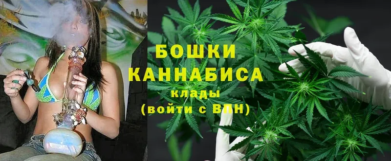 Каннабис Amnesia  Кукмор 